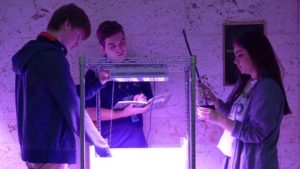 2 New Veggies Vroom from Classroom to the Space Station