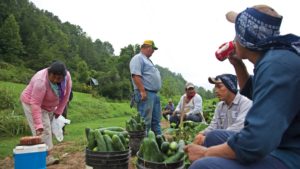 4 Reasons to Use a Farm Labor Supervisor Training Program