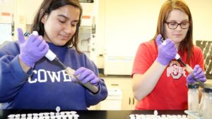 Fast, Inexpensive Nitrogen Soil Test in the Works for Farmers