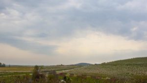 Penn State to Celebrate 100 Years of Fruit Research Center