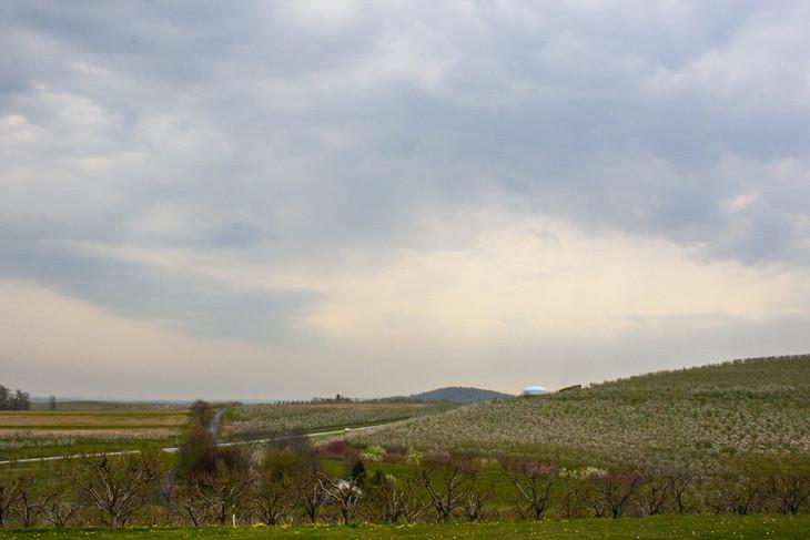 Penn State to Celebrate 100 Years of Fruit Research Center