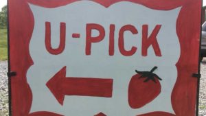 Rittman Orchards