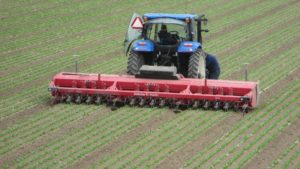 Automated Weeders Have Arrived in Vegetable Fields