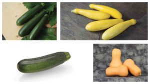 7 Squash Varieties to Add to Your Fall Crop