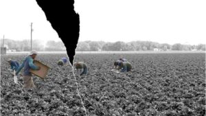 Protect Your Farmworkers — and Yourself  [Opinion]
