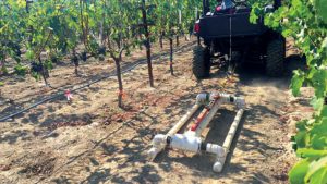 How to Make Vineyard Management More Precise