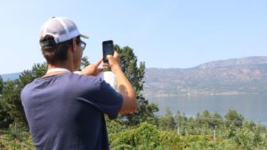 Fruit Farming 4.0: Digitization for Sustainability and Higher Yields