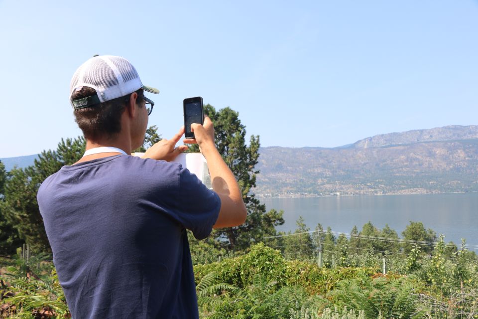 Fruit Farming 4.0: Digitization for Sustainability and Higher Yields