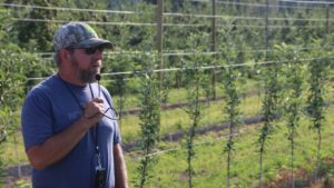 Super Spindle Apple Plantings Pique Interest at IFTA Tour Finale