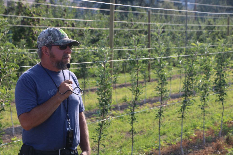Super Spindle Apple Plantings Pique Interest at IFTA Tour Finale