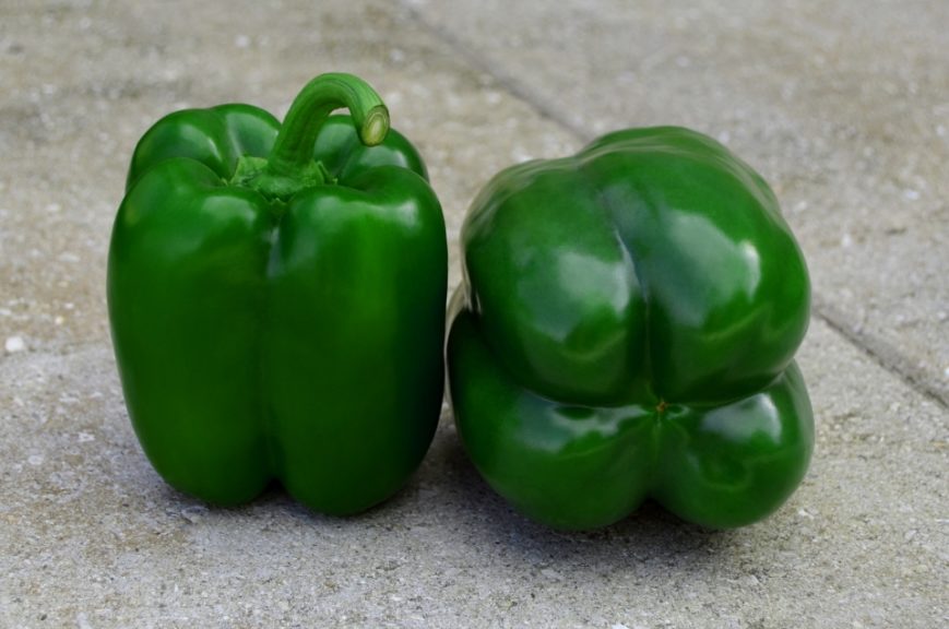 Samurai S10 from Sakata Seed America