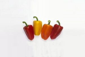 Trirosso, Triyellow, Triora from Rijk Zwaan