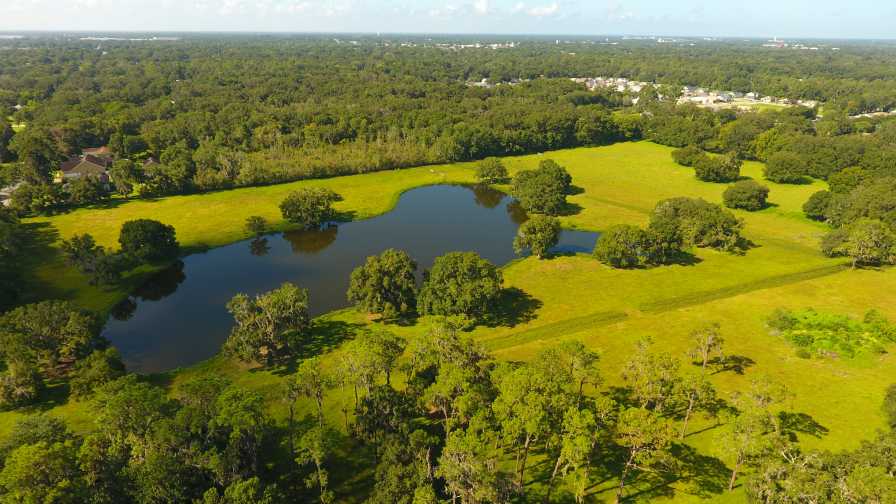 Wish Farms Set to Make a Big Move Close to Home