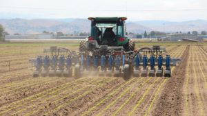 It’s Springtime in Specialty Crop Automation