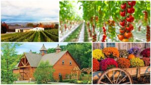 Biocontrols Conference USA East’s Tour Stops Announced!