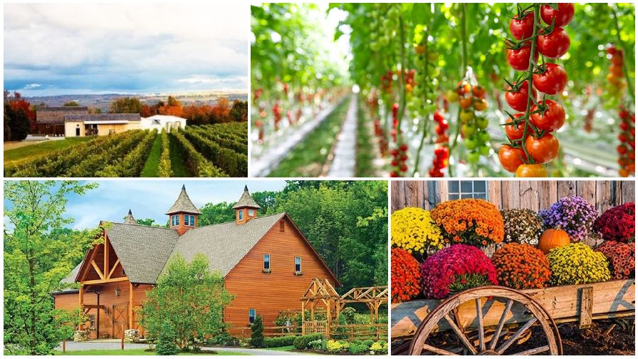 Biocontrols Conference USA East’s Tour Stops Announced!