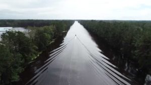 Tips for Growers Picking up in the Wake of Florence