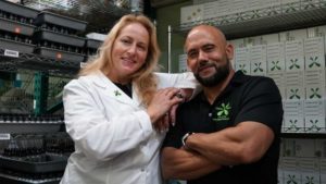 Florida Hemp Program Greenlit and Gearing for Growth