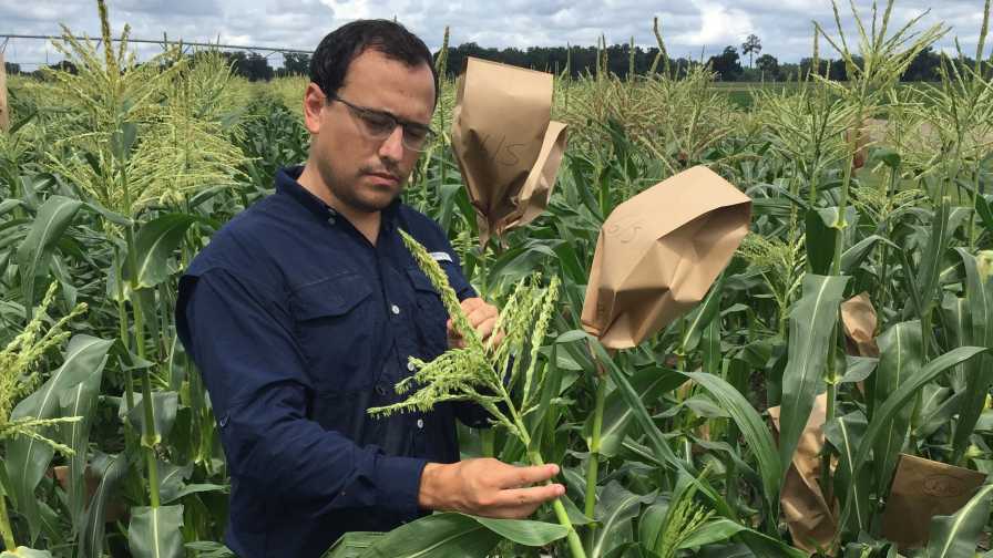 Degree of Difficulty High in the Advancement of Florida Agriculture