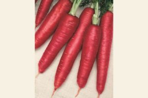 Atomic Red from Terra Organics