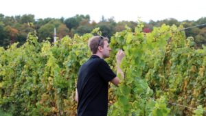 Survey To Reveal What Produce Growers Know About Biocontrols