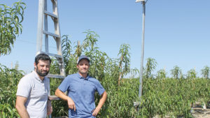 Standing Still Is Not an Option in Fruit Growing