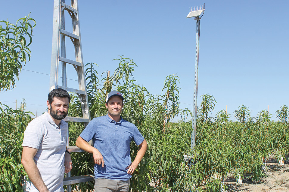 Standing Still Is Not an Option in Fruit Growing