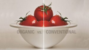 The What and Why of Organic Produce Prices