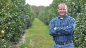 The Pursuit Grows to Build Organic Matter in Citrus
