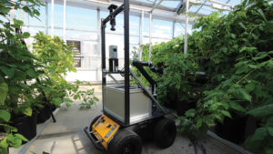 How Technology Lessens Labor Challenges in the Greenhouse