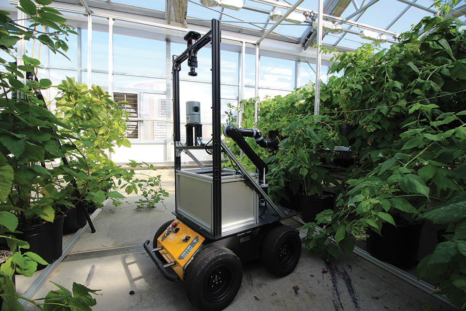 How Technology Lessens Labor Challenges in the Greenhouse