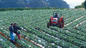 Top Food Trend Predictions Coming in Hot for 2026