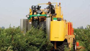 Florida Blueberry Growers Fielding Rise of the Machines