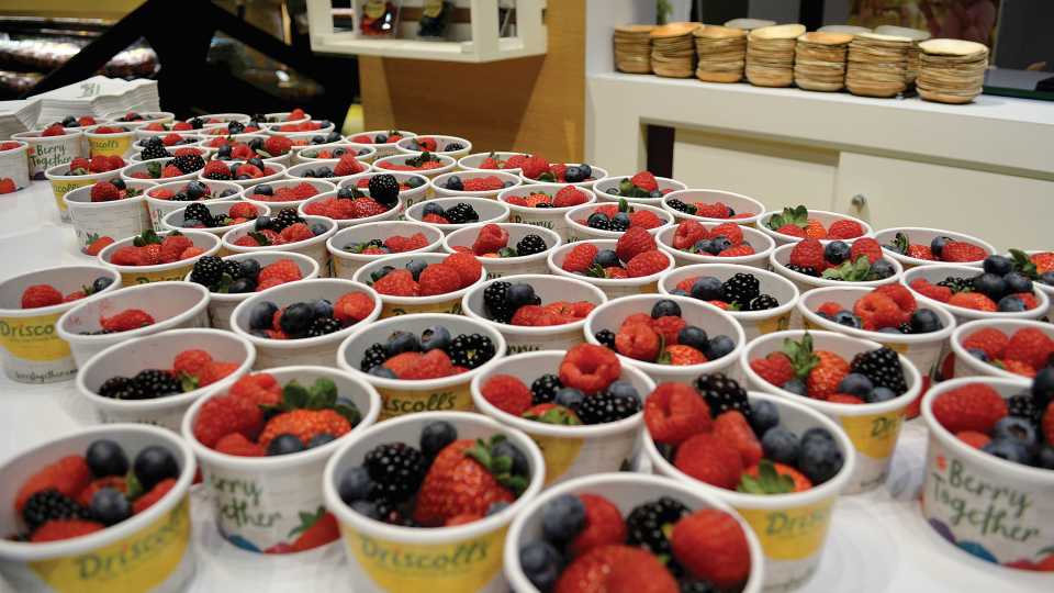 Changing of the Guard: New Leadership Set To Take Reins at Driscoll’s