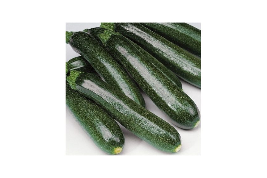 Dunja F1 Organic from Vitalis Organic Seed and Harris Seeds Organic