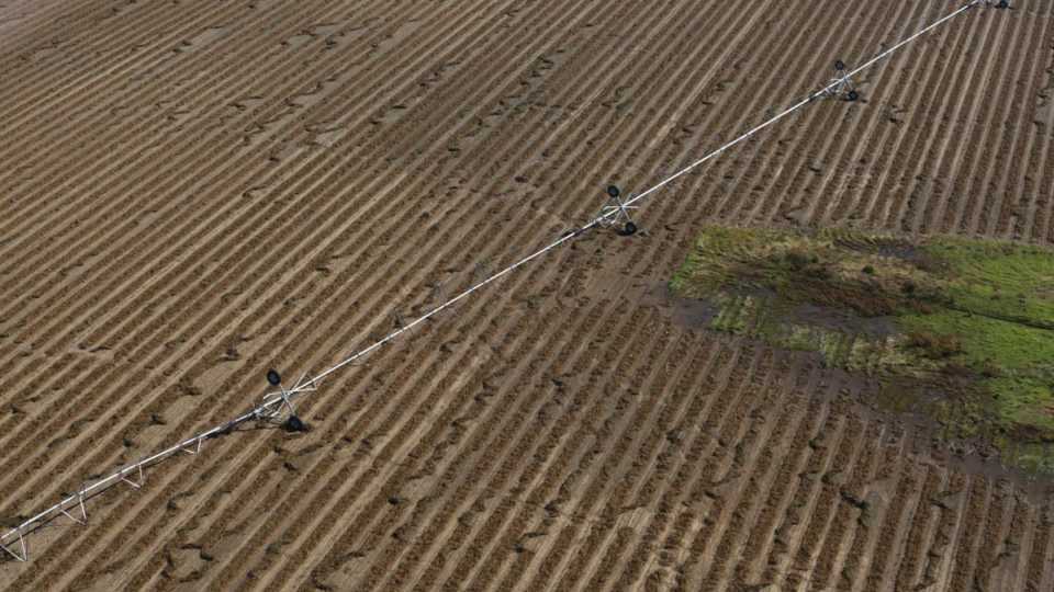 Flipped in the Field