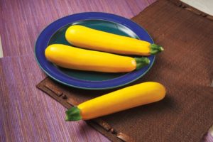 Golden Glory from Syngenta and Harris Seeds