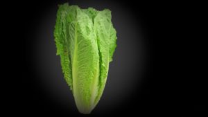 CDC: Dump All Romaine Due to New E. coli Outbreak
