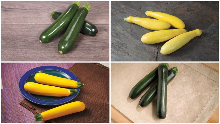 3. Zucchini (summer squash)