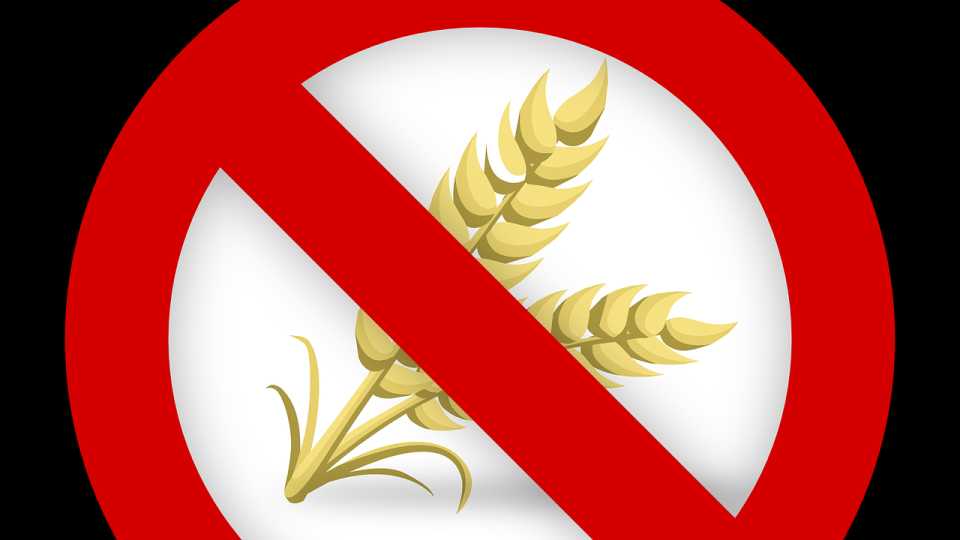 "Free-From" Foods