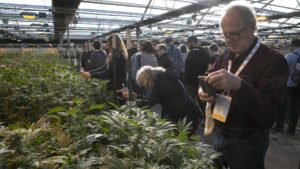Nearly 1,000 Attend Organic Grower Summit