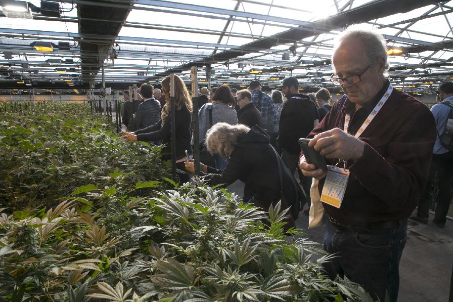 Nearly 1,000 Attend Organic Grower Summit