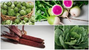 11 Less Common Specialty Crops You’ll Want to Check Out