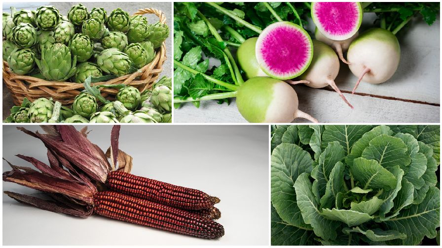 11 Less Common Specialty Crops You’ll Want to Check Out
