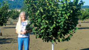 New Hazelnut Release Resists Eastern Filbert Blight