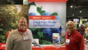 BRANDT Releases New Plant Growth Regulator