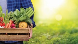 Which Issues Have Your Attention? [2019 State of the Vegetable Industry]