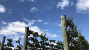 Approach Your Next Growing Season with Fresh Eyes