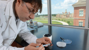 Research Team Seeks to Boost Berry Quality