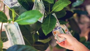 Is the New Farm Bill an Opportunity or Threat for Specialty Crop Growers?